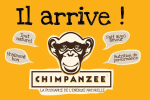 Chimpanzee Il arrive